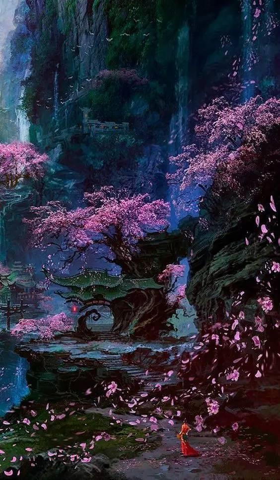 春雨直播app