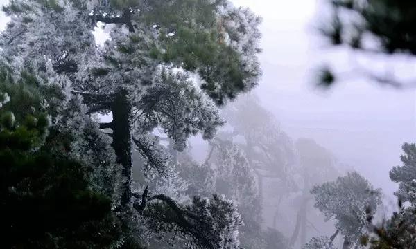 自由幻想