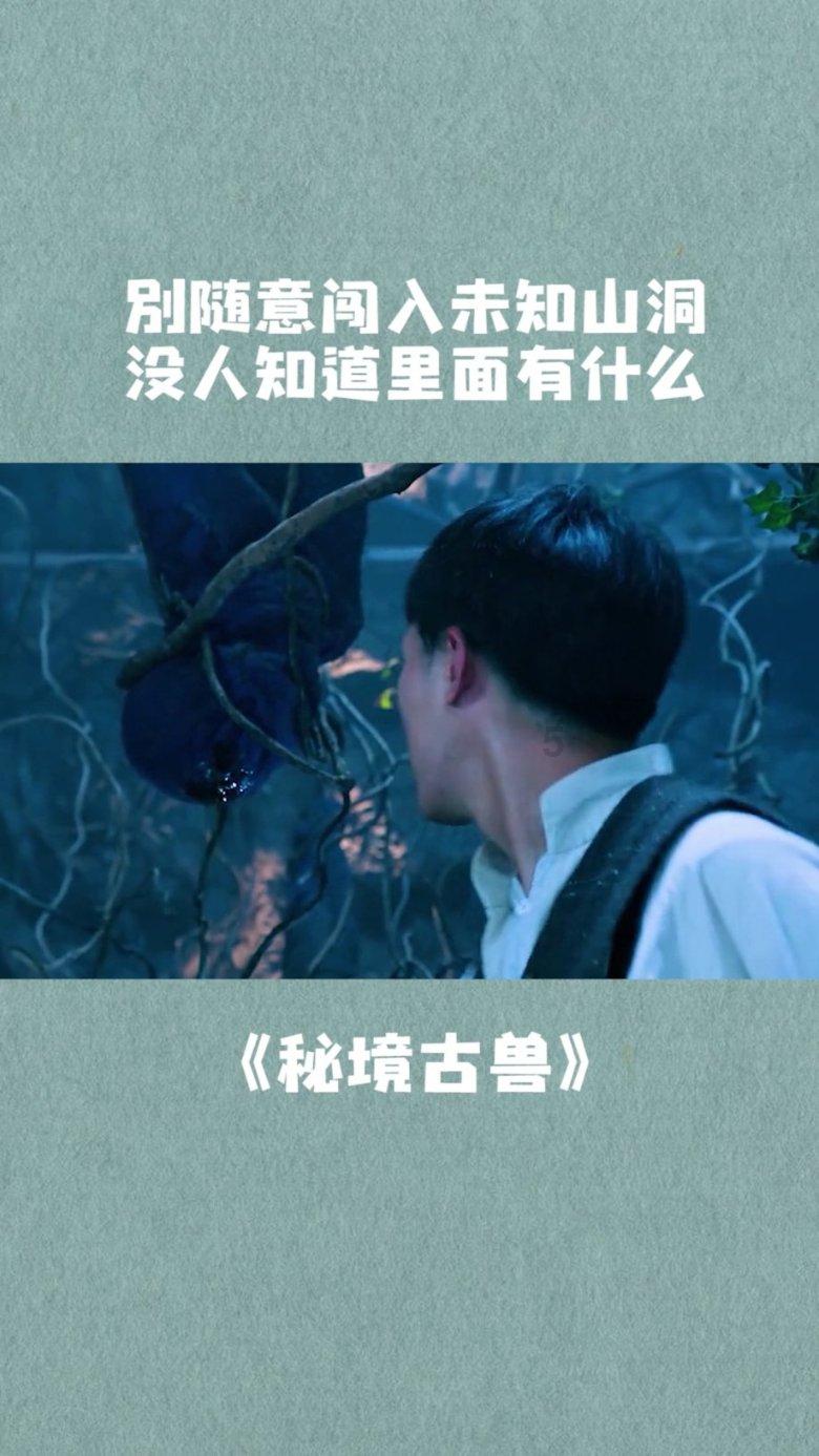 88影视