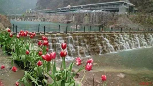 被困在殿堂的学生