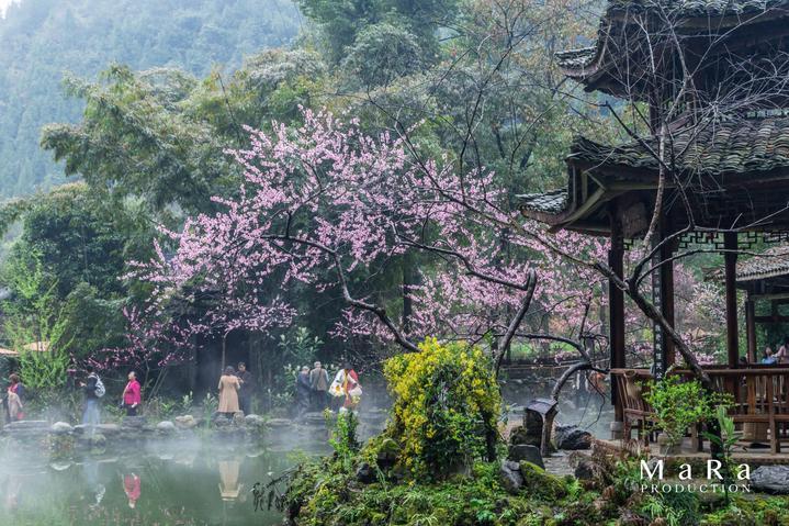 新年游优选场地!韩国综合性度假胜地迎仕柏度假城即将全面开放