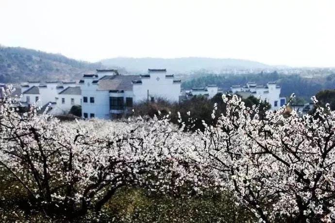 陈冠希前女友自曝收入来源，从模特转型当网红，还曾被捕入狱