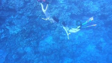 狙杀外星人