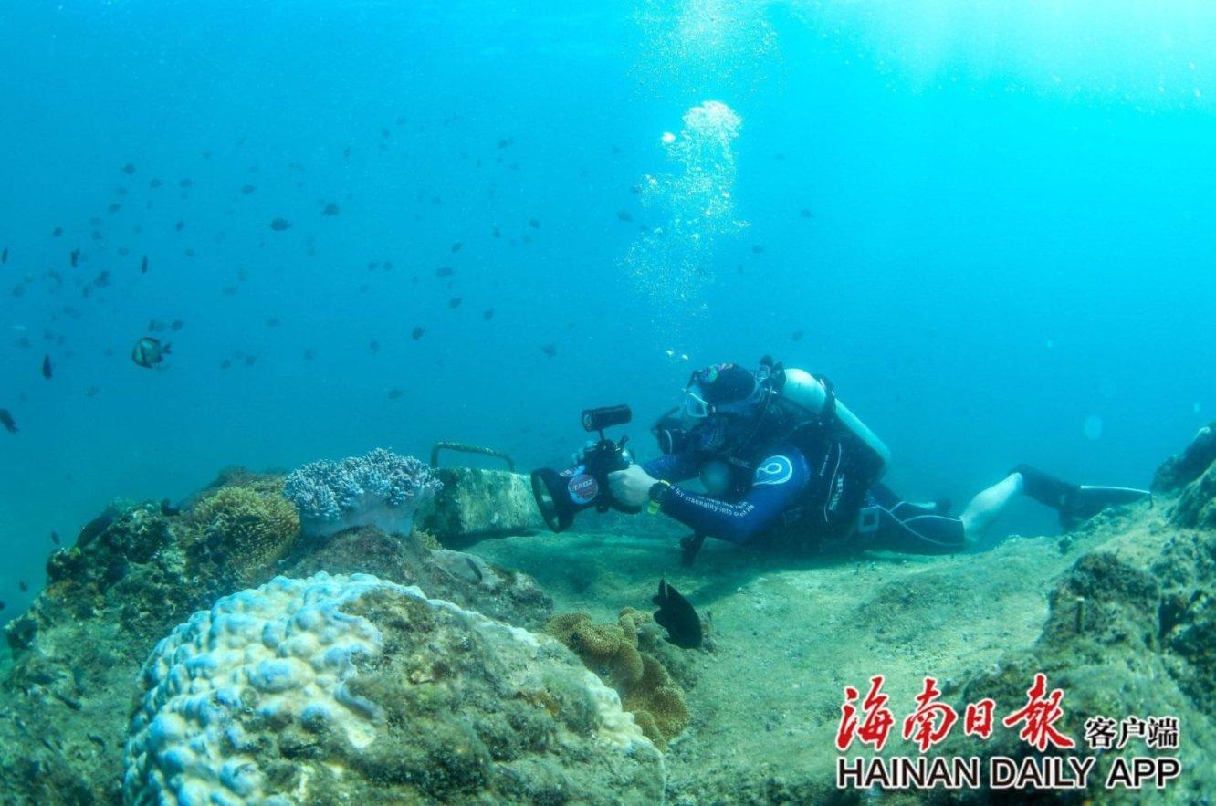 逃离游戏研究中心