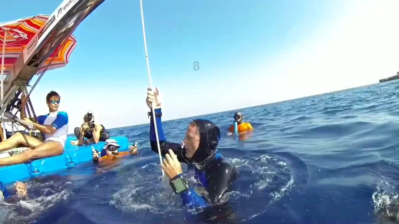 维达国际纸浆成本波动净利三连跌 大股东创始人套现离场印尼巨头接盘