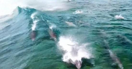 秋季浪漫约会