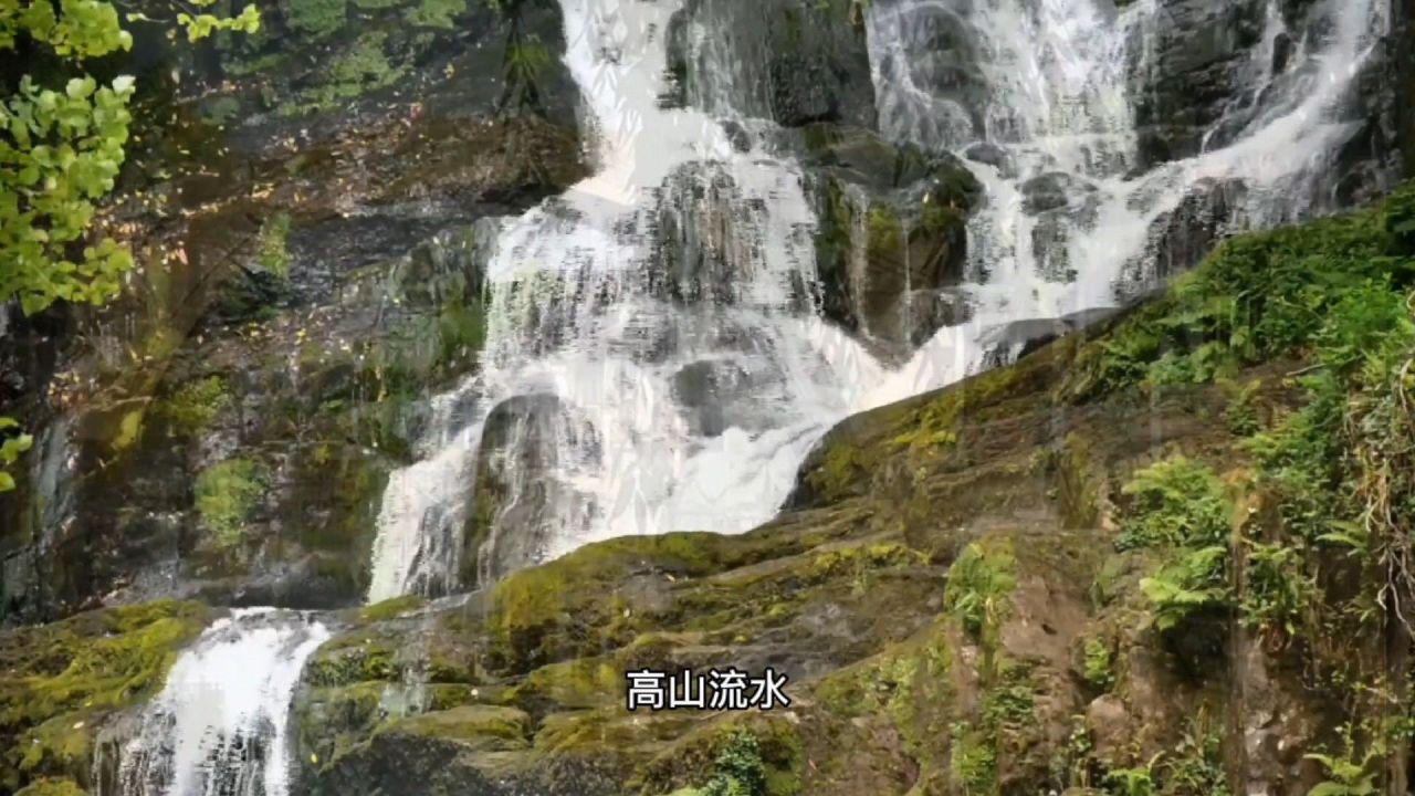 见证者