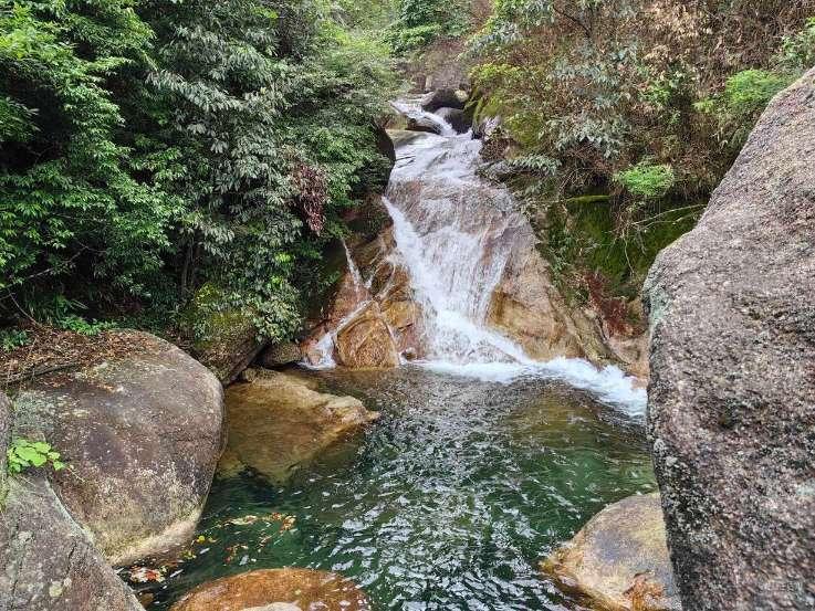 小僵尸消消看