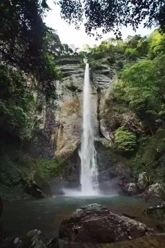 消灭怪物大作战选关版