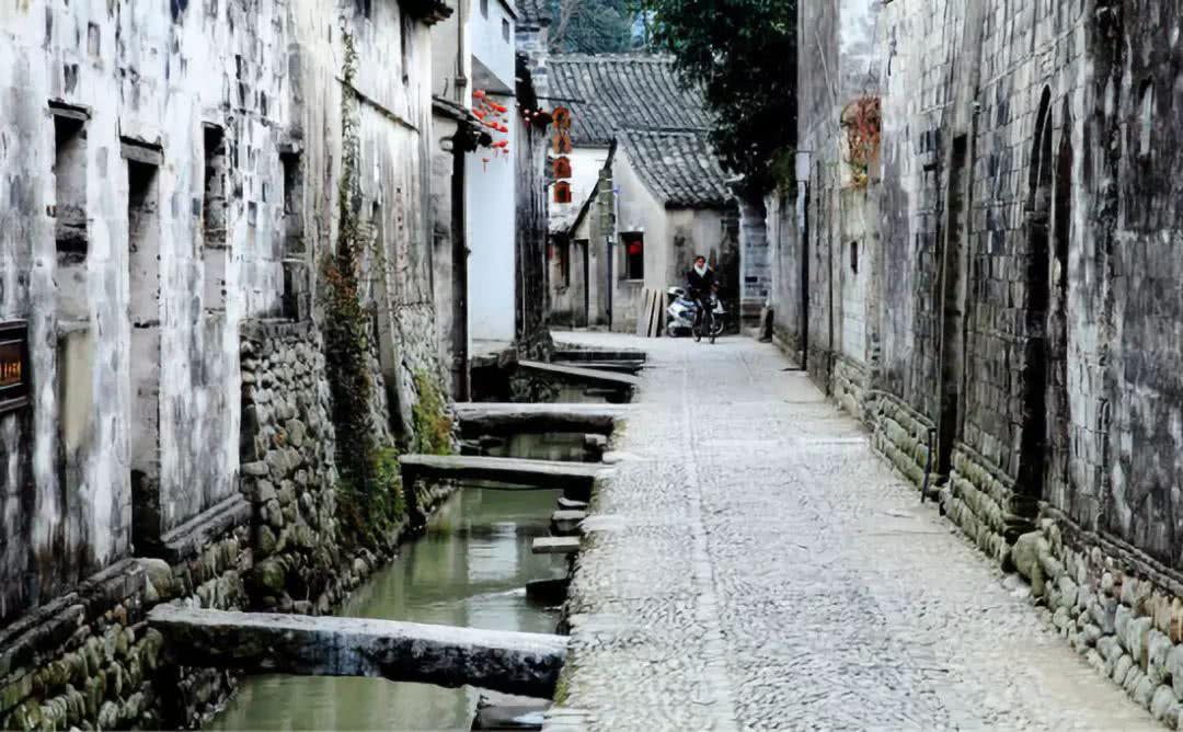 动物帮帮忙保卫家园