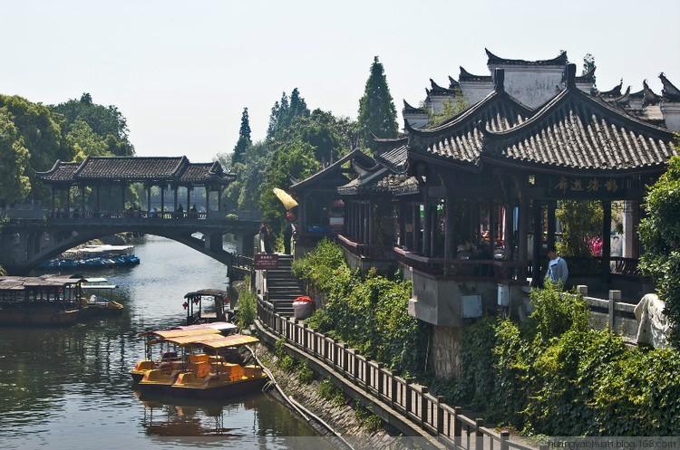 动物帮帮忙保卫家园