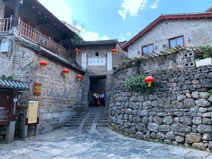 动物帮帮忙保卫家园