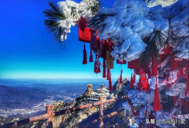 zhengzhong看拼音写词语