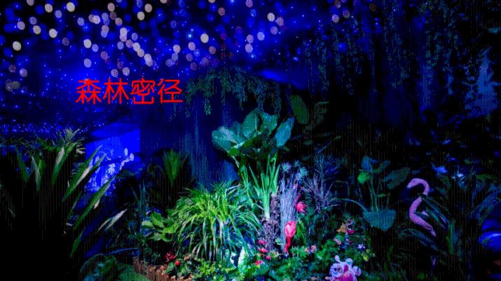 虫虫助手下载